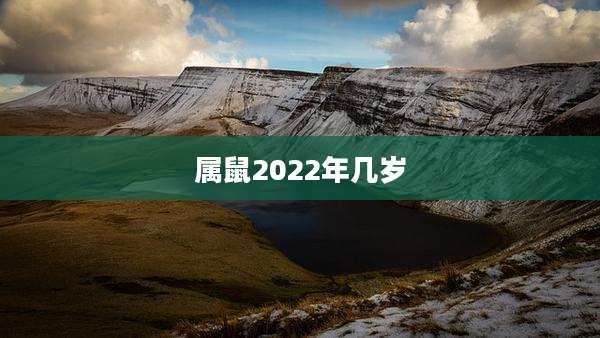 属鼠2022年几岁