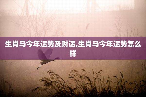 生肖马今年运势及财运,生肖马今年运势怎么样
