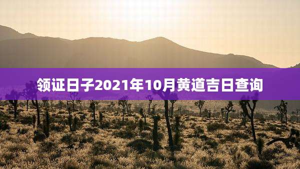领证日子2021年10月黄道吉日查询