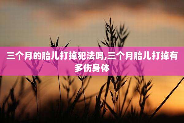三个月的胎儿打掉犯法吗,三个月胎儿打掉有多伤身体