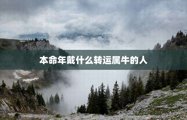 本命年戴什么转运属牛的人