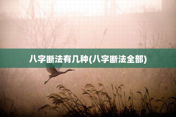 八字断法有几种(八字断法全部)