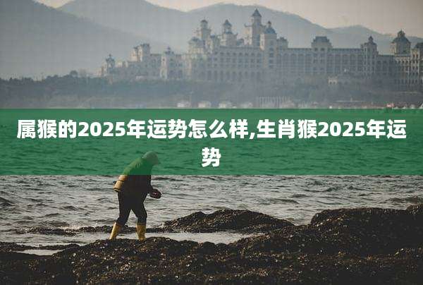 属猴的2025年运势怎么样,生肖猴2025年运势