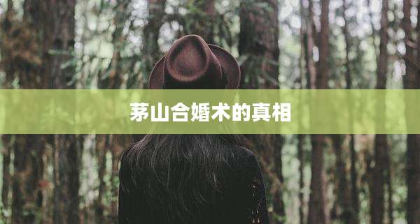 茅山合婚术的真相