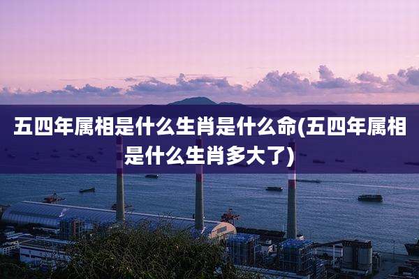 五四年属相是什么生肖是什么命(五四年属相是什么生肖多大了)