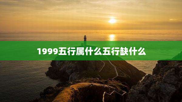 1999五行属什么五行缺什么