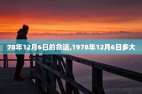 78年12月6日的命运,1978年12月6日多大