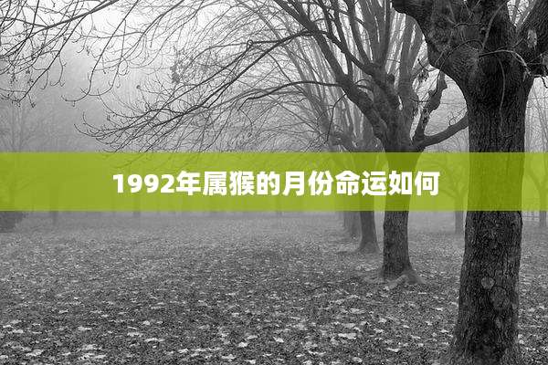 1992年属猴的月份命运如何