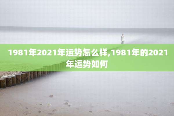 1981年2021年运势怎么样,1981年的2021年运势如何