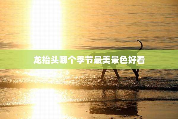 龙抬头哪个季节最美景色好看