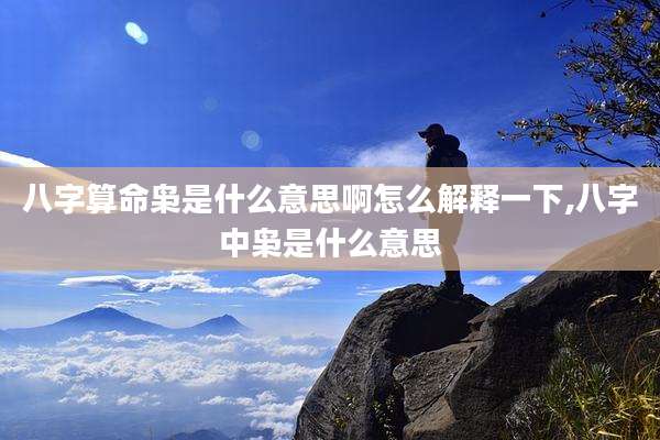 八字算命枭是什么意思啊怎么解释一下,八字中枭是什么意思