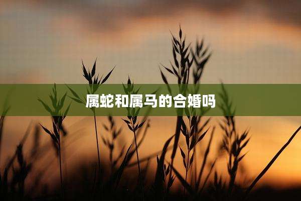属蛇和属马的合婚吗