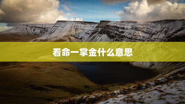 看命一掌金什么意思