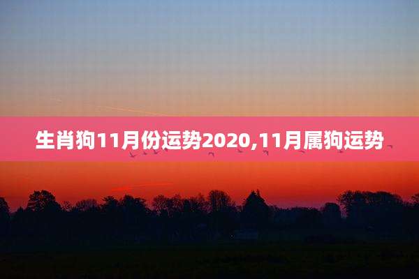 生肖狗11月份运势2020,11月属狗运势