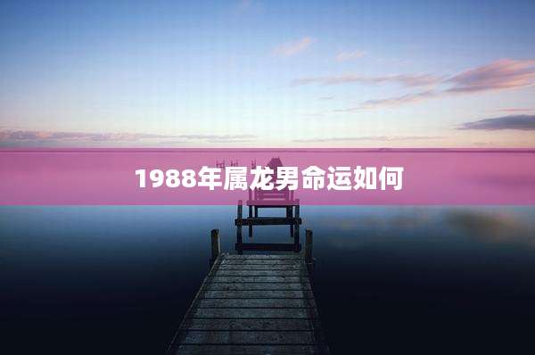 1988年属龙男命运如何