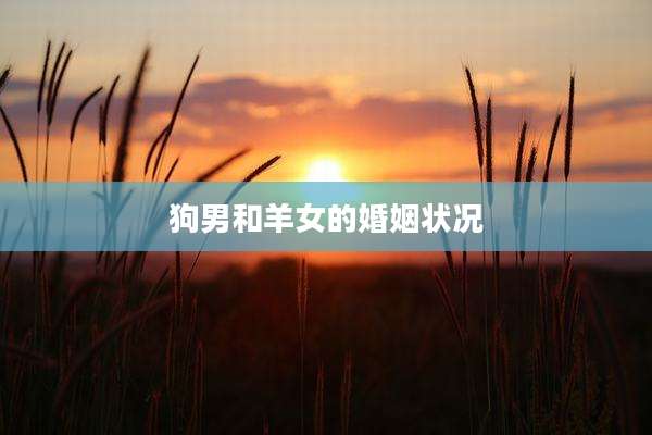 狗男和羊女的婚姻状况