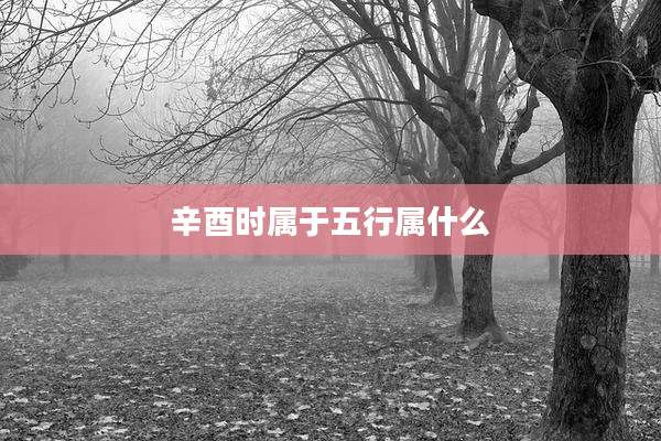 辛酉时属于五行属什么