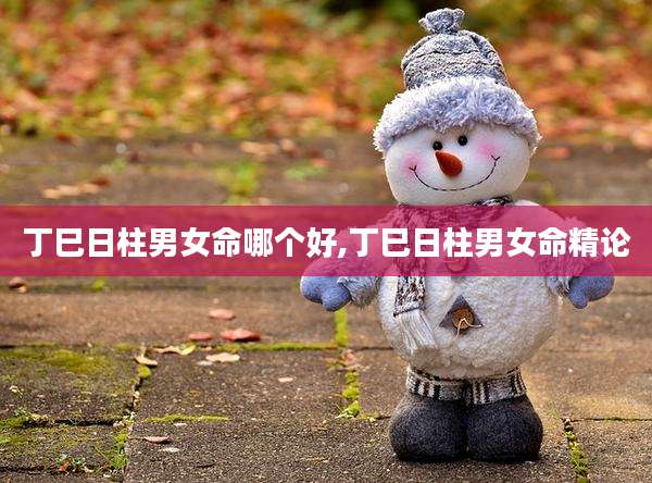 丁巳日柱男女命哪个好,丁巳日柱男女命精论