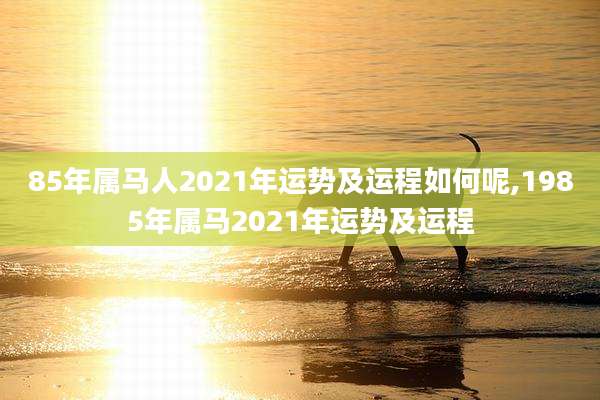 85年属马人2021年运势及运程如何呢,1985年属马2021年运势及运程