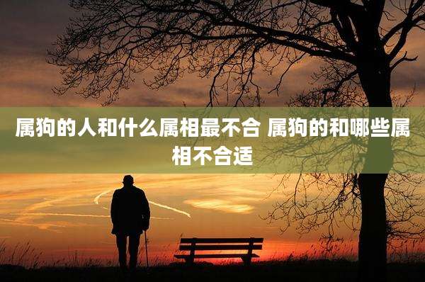 属狗的人和什么属相最不合 属狗的和哪些属相不合适