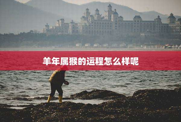 羊年属猴的运程怎么样呢