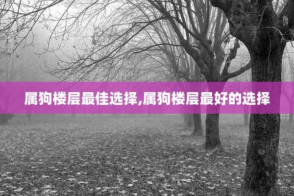 属狗楼层最佳选择,属狗楼层最好的选择