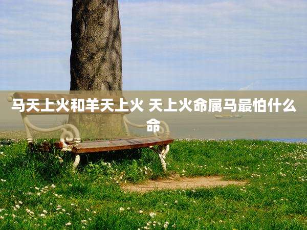 马天上火和羊天上火 天上火命属马最怕什么命