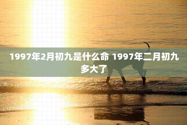 1997年2月初九是什么命 1997年二月初九多大了