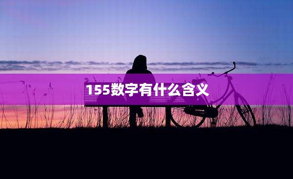 155数字有什么含义