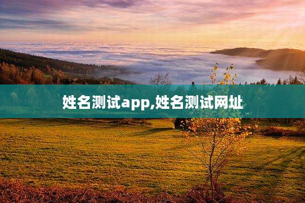 姓名测试app,姓名测试网址