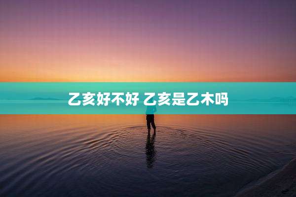 乙亥好不好 乙亥是乙木吗