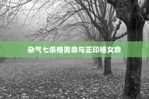 杂气七杀格男命与正印格女命