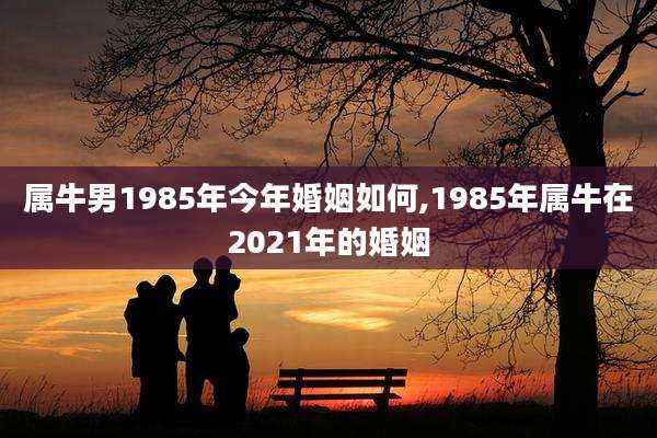 属牛男1985年今年婚姻如何,1985年属牛在2021年的婚姻