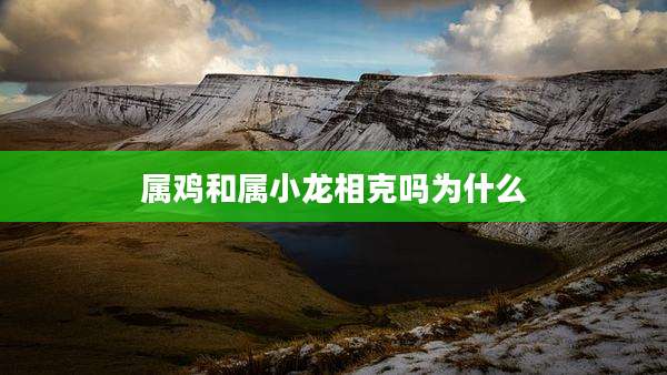 属鸡和属小龙相克吗为什么