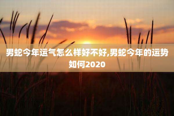 男蛇今年运气怎么样好不好,男蛇今年的运势如何2020