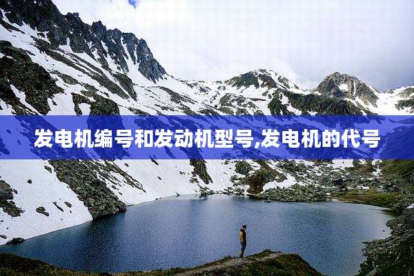 发电机编号和发动机型号,发电机的代号