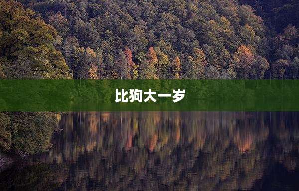 比狗大一岁