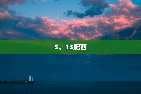 5、13肥西