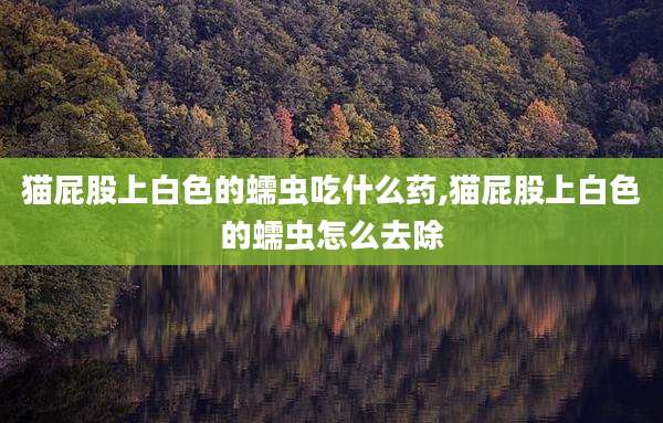 猫屁股上白色的蠕虫吃什么药,猫屁股上白色的蠕虫怎么去除