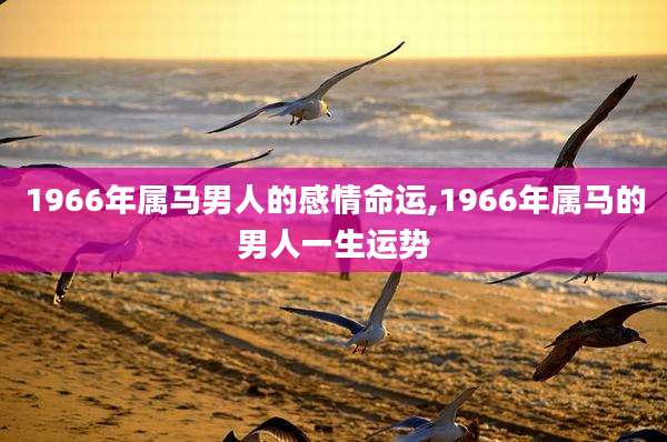 1966年属马男人的感情命运,1966年属马的男人一生运势