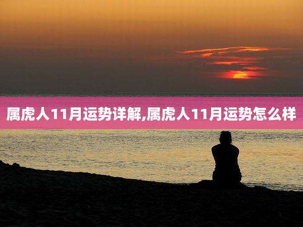 属虎人11月运势详解,属虎人11月运势怎么样