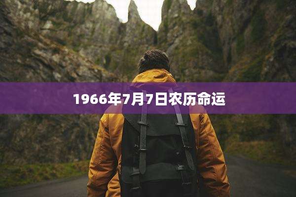 1966年7月7日农历命运