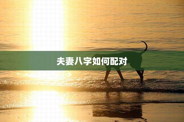 夫妻八字如何配对