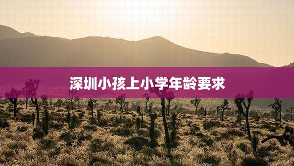 深圳小孩上小学年龄要求