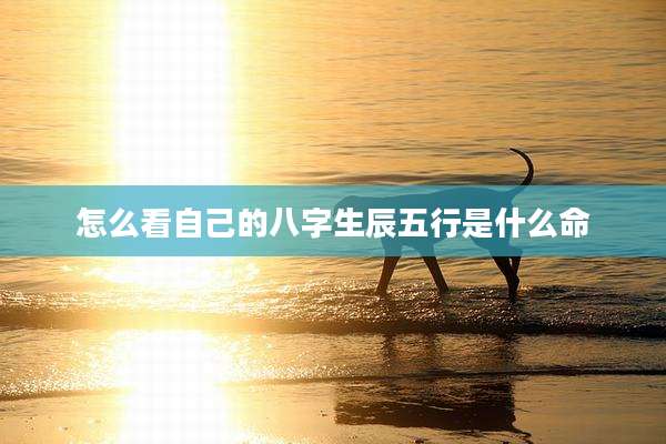 怎么看自己的八字生辰五行是什么命