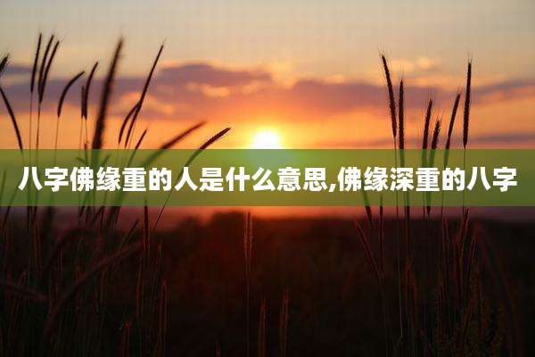 八字佛缘重的人是什么意思,佛缘深重的八字
