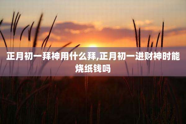 正月初一拜神用什么拜,正月初一进财神时能烧纸钱吗