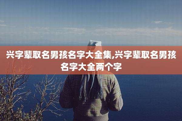 兴字辈取名男孩名字大全集,兴字辈取名男孩名字大全两个字