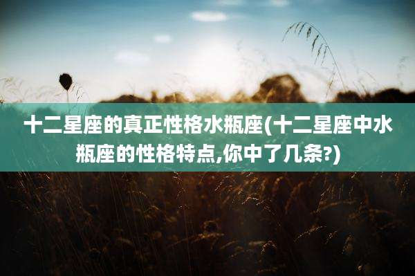 十二星座的真正性格水瓶座(十二星座中水瓶座的性格特点,你中了几条?)