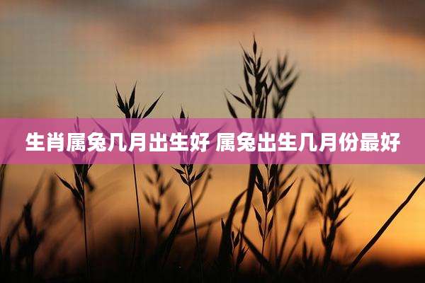 生肖属兔几月出生好 属兔出生几月份最好